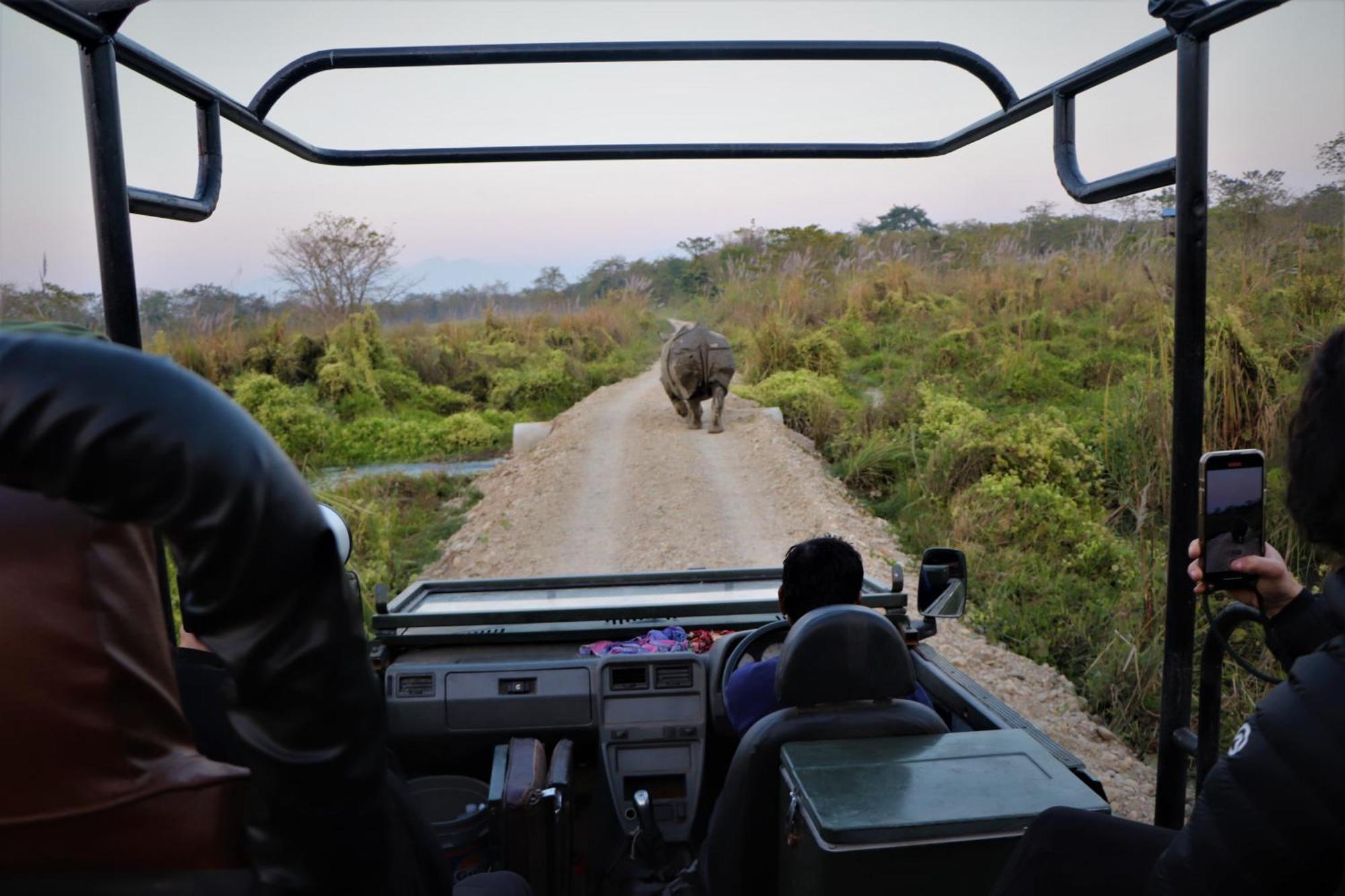 Hotel Flycatcher Chitwan- A Jungle Safari Home Sauraha Exterior foto