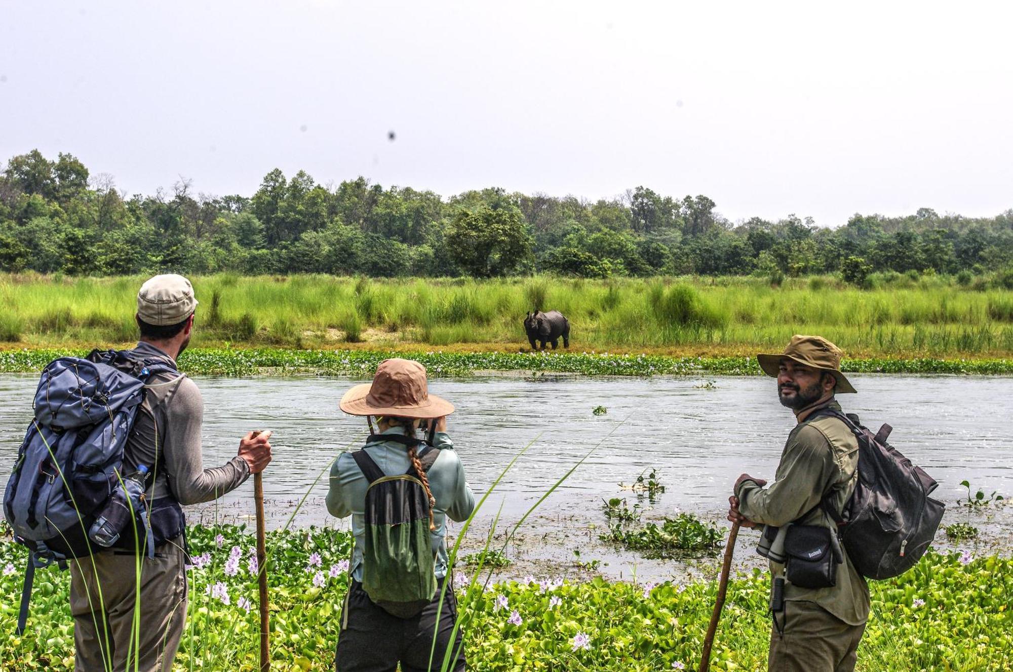 Hotel Flycatcher Chitwan- A Jungle Safari Home Sauraha Exterior foto